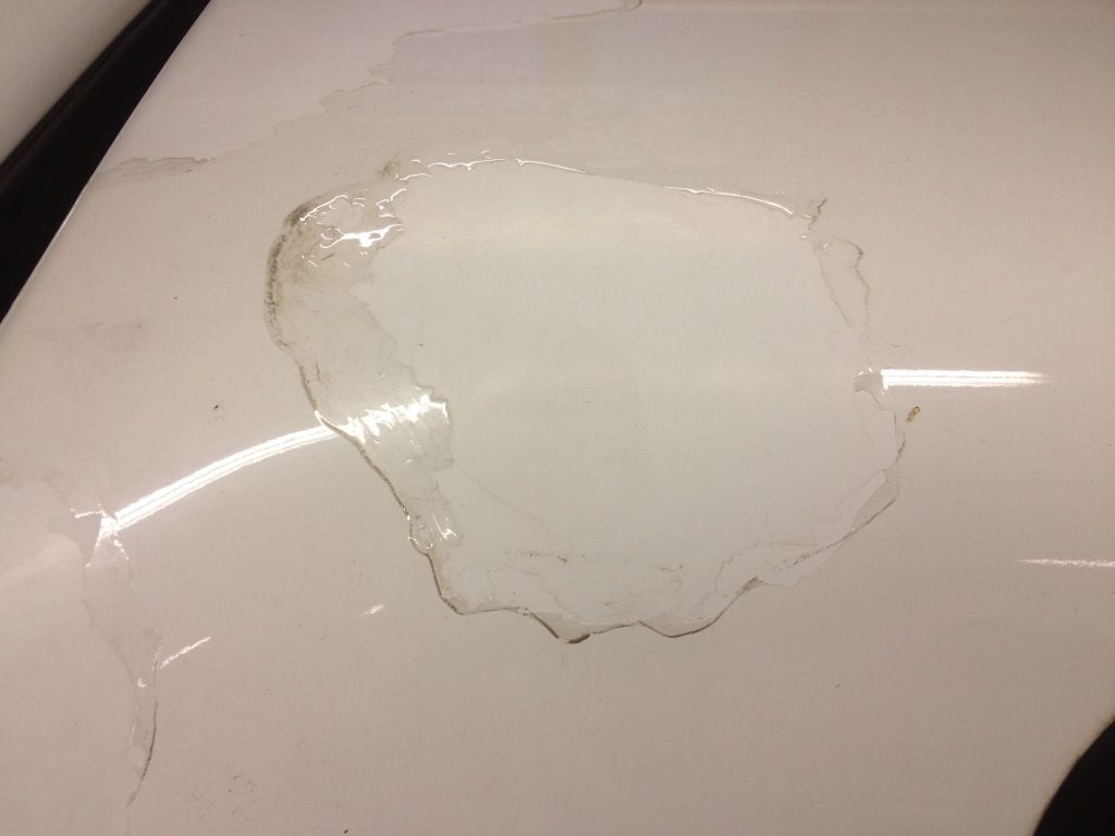 Peeling clear coat S10 Forum